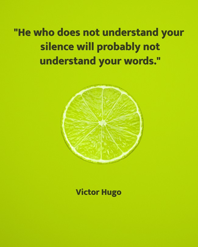 He who does not understand your silence will probably not understand your words. - Victor Hugo
