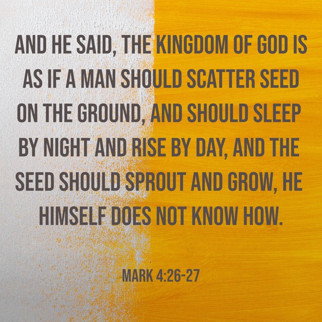 And He said, The kingdom of God is as if a man should scatter seed on the ground, and should sleep by night and rise by day, and the seed should sprout and grow, he himself does not know how. - Mark 4:26-27