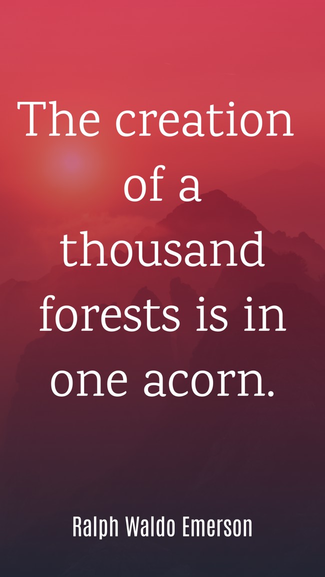 The creation of a thousand forests is in one acorn. - Ralph Waldo Emerson