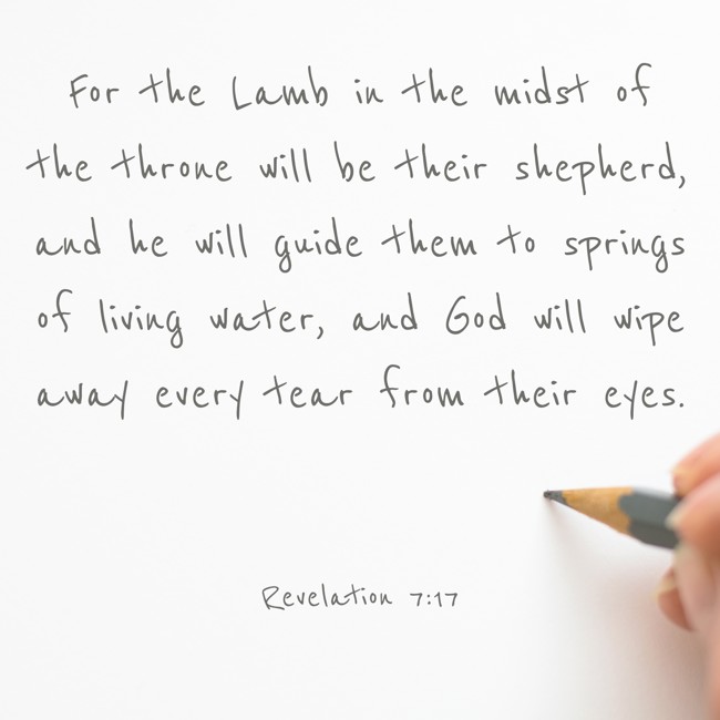 For the Lamb in the midst of the throne will be their shepherd, and he will guide them to springs of living water, and God will wipe away every tear from their eyes. - Revelation 7:17