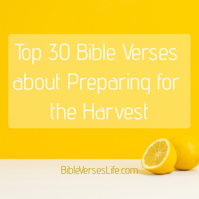 Top 30 Bible Verses about Preparing for the Harvest