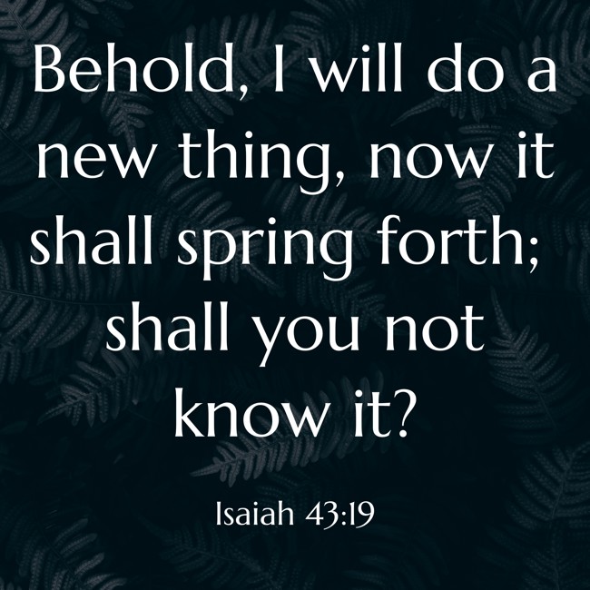 Behold, I will do a new thing, now it shall spring forth; shall you not know it? - Isaiah 43:19
