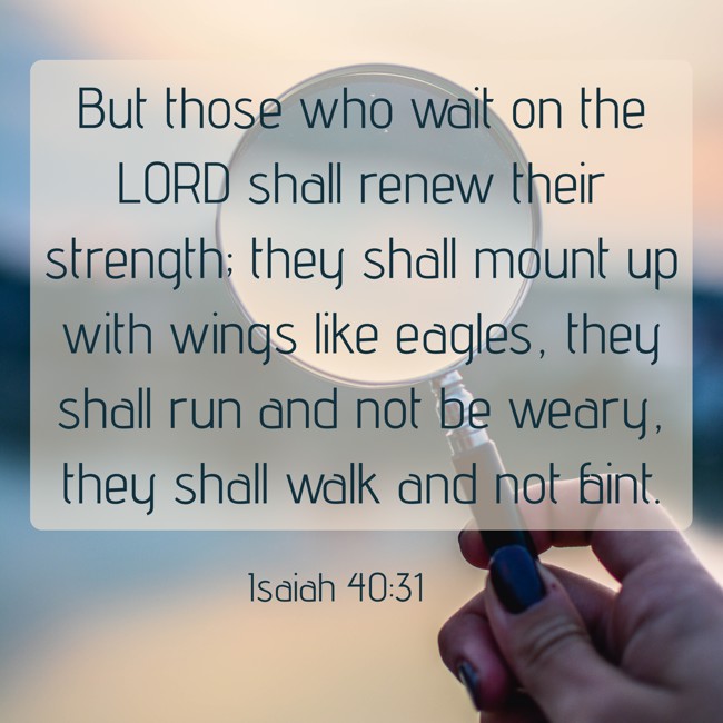 But those who wait on the LORD shall renew their strength; they shall mount up with wings like eagles, they shall run and not be weary, they shall walk and not faint. - Isaiah 40:31