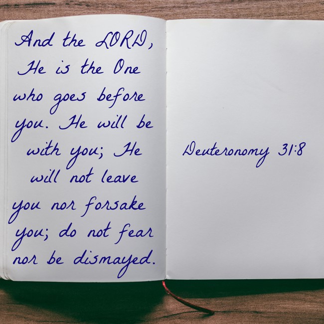 And the LORD, He is the One who goes before you. He will be with you; He will not leave you nor forsake you; do not fear nor be dismayed. - Deuteronomy 31:8