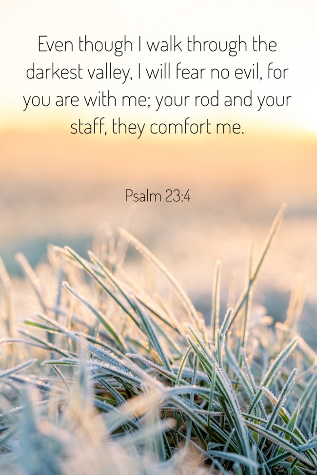 Even though I walk through the darkest valley, I will fear no evil, for you are with me; your rod and your staff, they comfort me. - Psalm 23:4