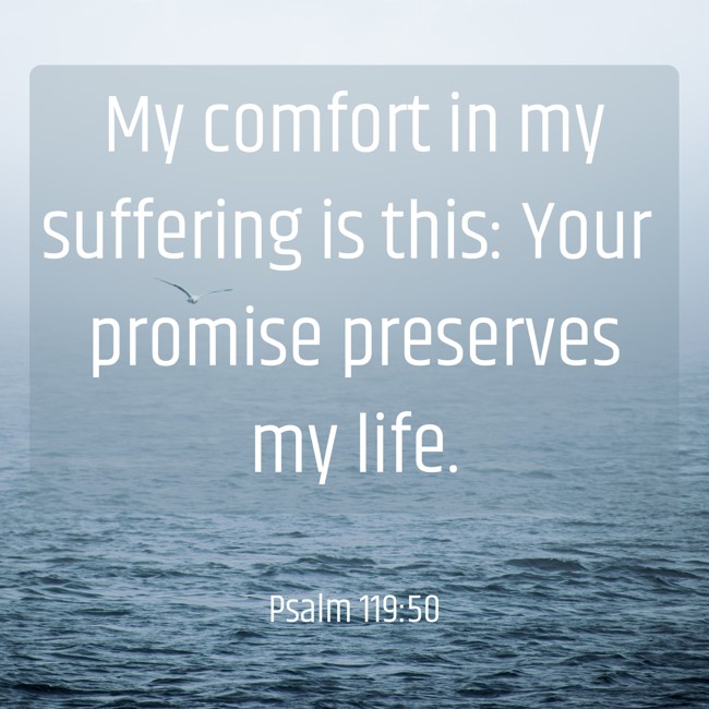 My comfort in my suffering is this: Your promise preserves my life. - Psalm 119:50