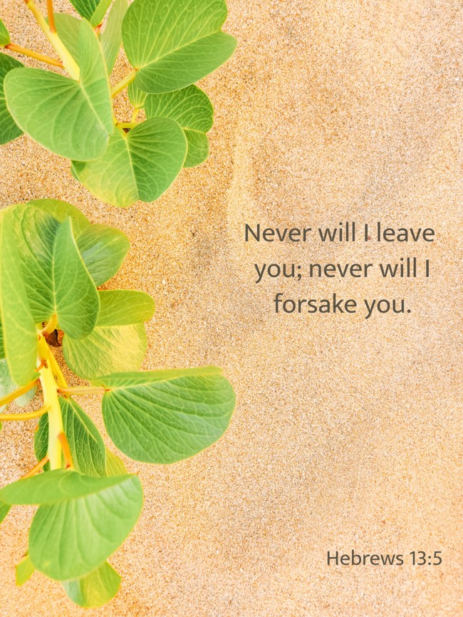 Never will I leave you; never will I forsake you. - Hebrews 13:5