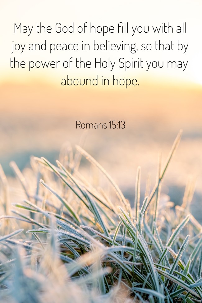 May the God of hope fill you with all joy and peace in believing, so that by the power of the Holy Spirit you may abound in hope. - Romans 15:13