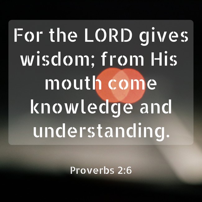 For the LORD gives wisdom; from His mouth come knowledge and understanding. - Proverbs 2:6