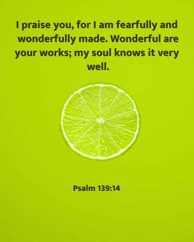 I praise you, for I am fearfully and wonderfully made. Wonderful are your works; my soul knows it very well. - Psalm 139:14