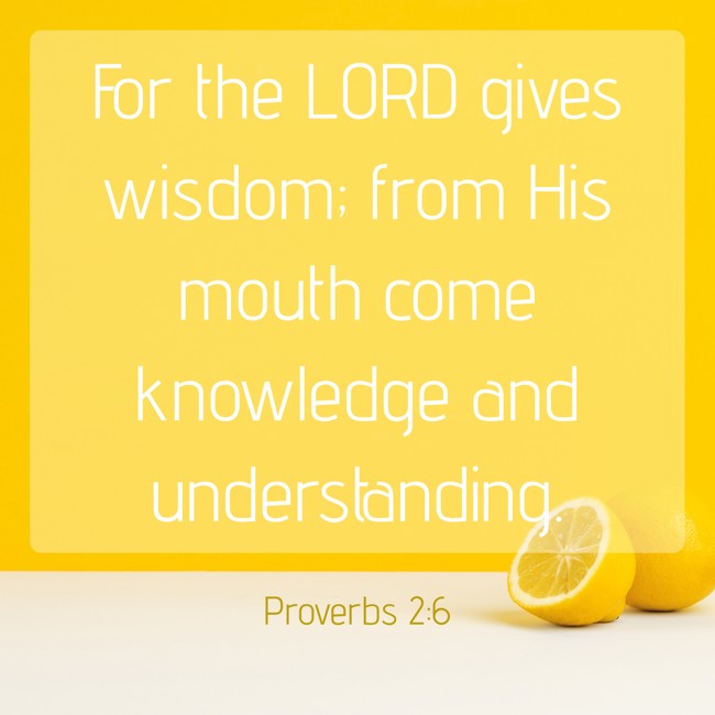 For the LORD gives wisdom; from His mouth come knowledge and understanding. - Proverbs 2:6
