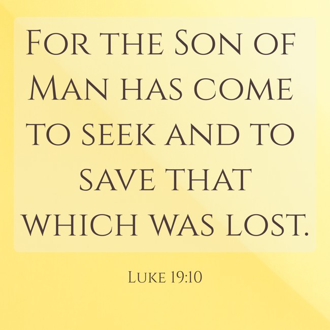 For the Son of Man has come to seek and to save that which was lost. - Luke 19:10