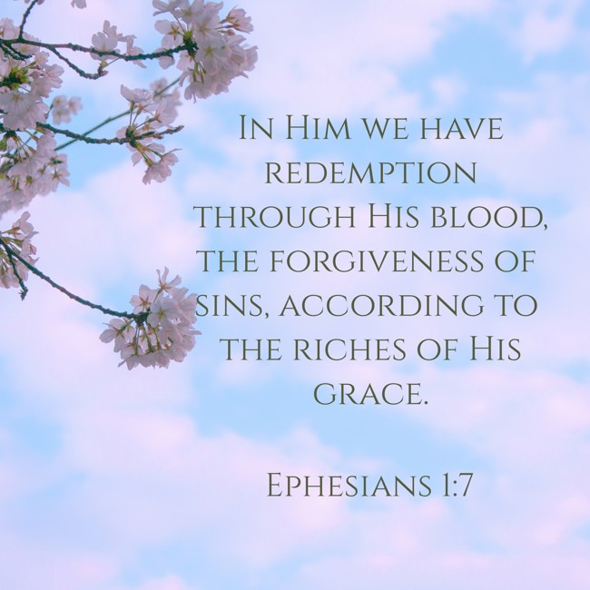 In Him we have redemption through His blood, the forgiveness of sins, according to the riches of His grace. - Ephesians 1:7