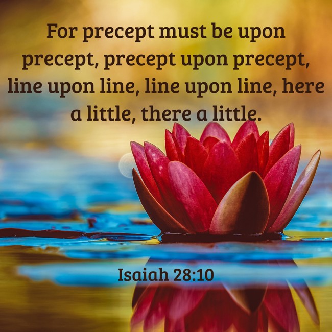 For precept must be upon precept, precept upon precept, line upon line, line upon line, here a little, there a little. - Isaiah 28:10