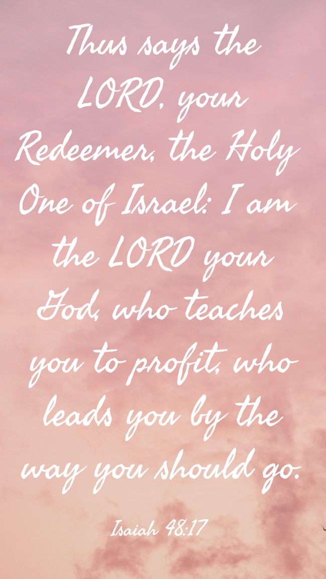 Thus says the LORD, your Redeemer, the Holy One of Israel: I am the LORD your God, who teaches you to profit, who leads you by the way you should go. - Isaiah 48:17