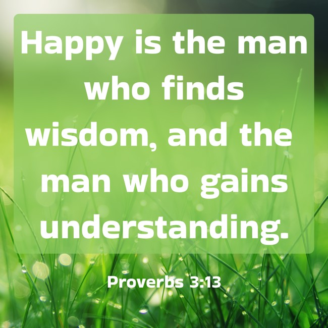 Happy is the man who finds wisdom, and the man who gains understanding. - Proverbs 3:13