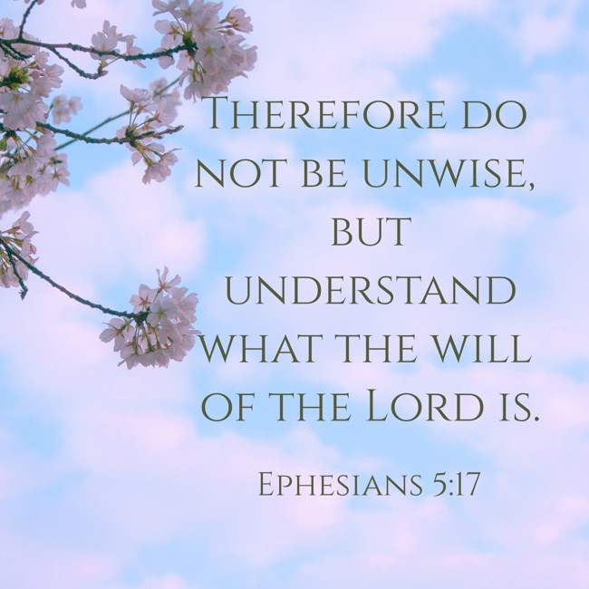 Therefore do not be unwise, but understand what the will of the Lord is. - Ephesians 5:17