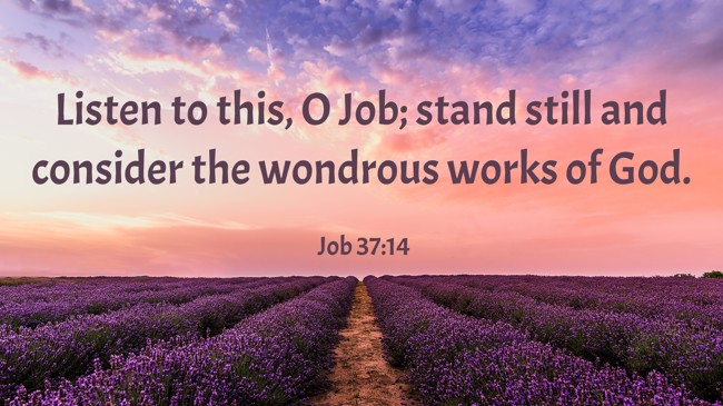 Listen to this, O Job; stand still and consider the wondrous works of God. - Job 37:14