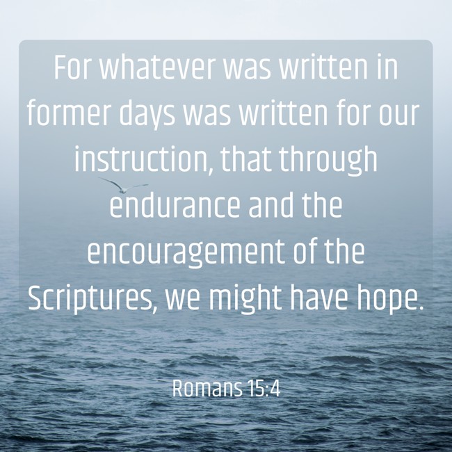For whatever was written in former days was written for our instruction, that through endurance and the encouragement of the Scriptures, we might have hope. - Romans 15:4