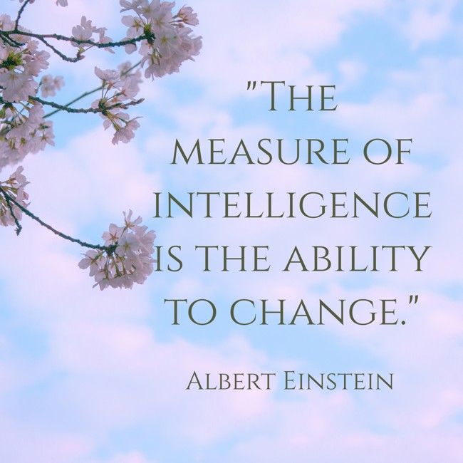 The measure of intelligence is the ability to change. - Albert Einstein