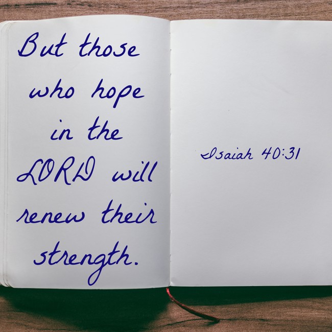 But those who hope in the LORD will renew their strength. - Isaiah 40:31