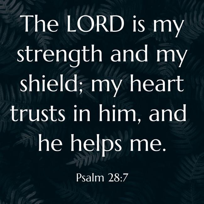 The LORD is my strength and my shield; my heart trusts in him, and he helps me. - Psalm 28:7