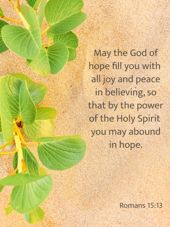 May the God of hope fill you with all joy and peace in believing, so that by the power of the Holy Spirit you may abound in hope. - Romans 15:13