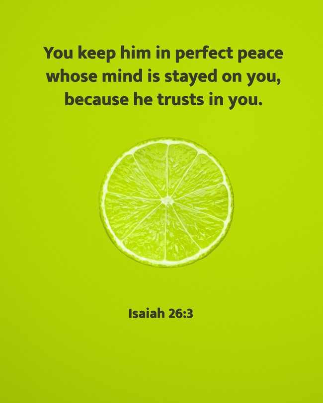 You keep him in perfect peace whose mind is stayed on you, because he trusts in you. - Isaiah 26:3