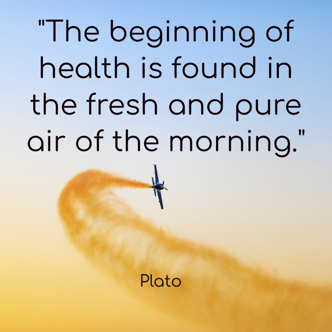 The beginning of health is found in the fresh and pure air of the morning. - Plato