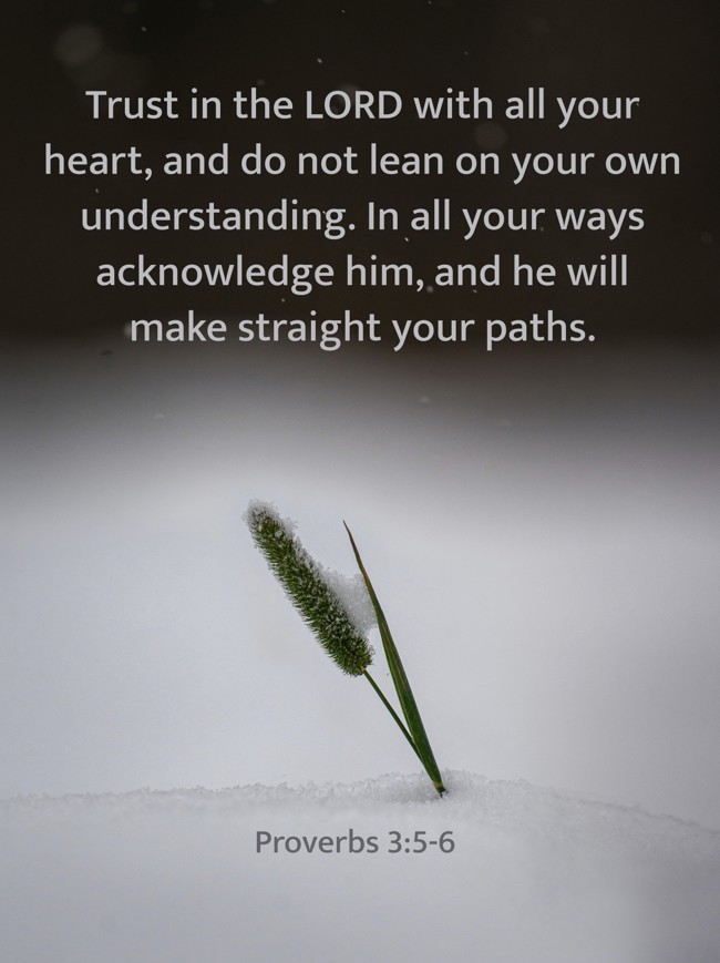 Trust in the LORD with all your heart, and do not lean on your own understanding. In all your ways acknowledge him, and he will make straight your paths. - Proverbs 3:5-6