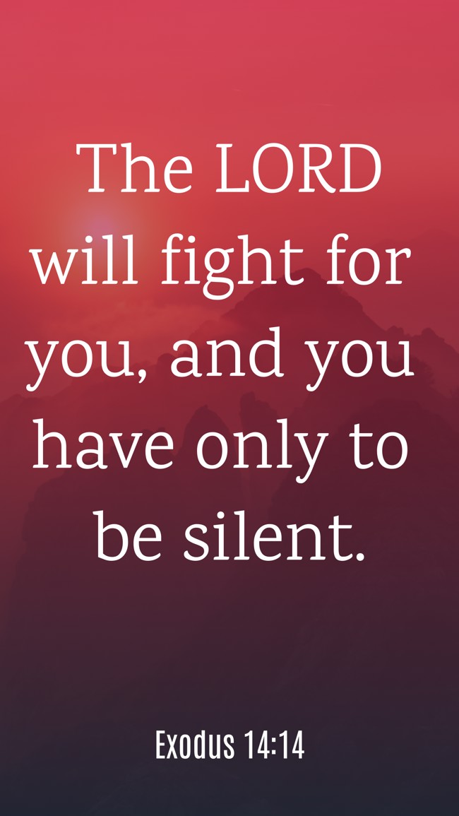 The LORD will fight for you, and you have only to be silent. - Exodus 14:14
