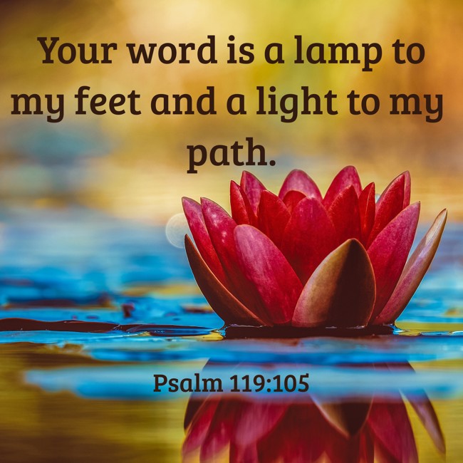Your word is a lamp to my feet and a light to my path. - Psalm 119:105