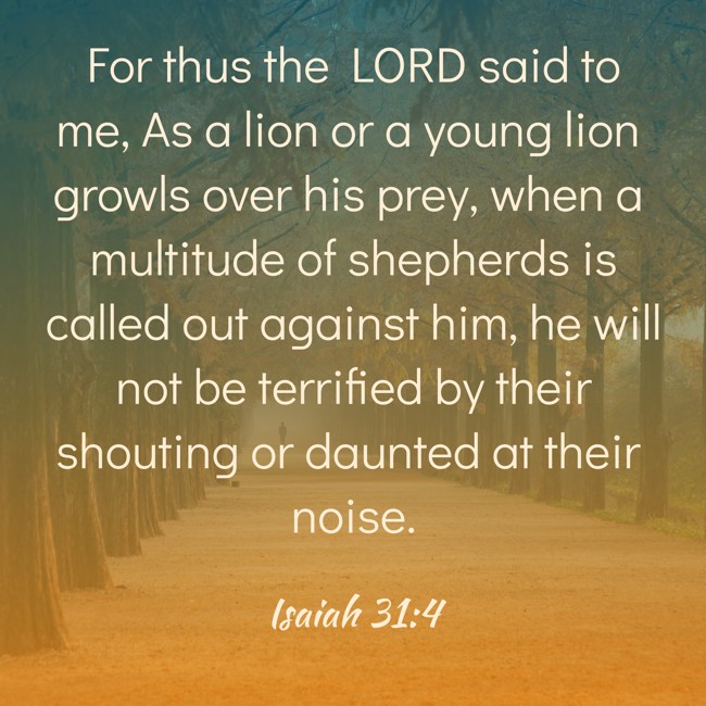 For thus the LORD said to me, As a lion or a young lion growls over his prey, when a multitude of shepherds is called out against him, he will not be terrified by their shouting or daunted at their noise. - Isaiah 31:4
