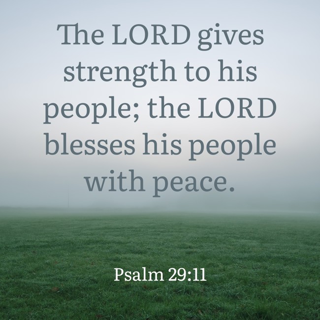 The LORD gives strength to his people; the LORD blesses his people with peace. - Psalm 29:11