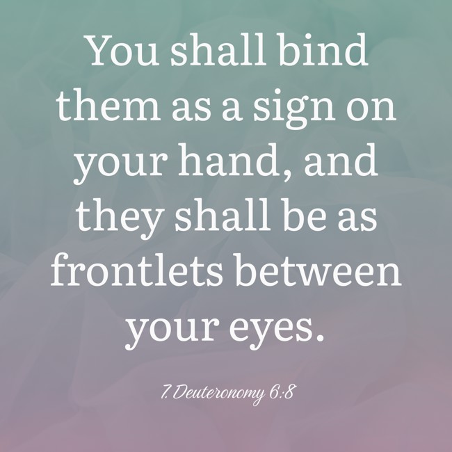 You shall bind them as a sign on your hand, and they shall be as frontlets between your eyes. - 7. Deuteronomy 6:8