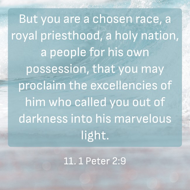 But you are a chosen race, a royal priesthood, a holy nation, a people for his own possession, that you may proclaim the excellencies of him who called you out of darkness into his marvelous light. - 11. 1 Peter 2:9
