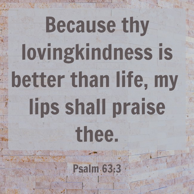 Because thy lovingkindness is better than life, my lips shall praise thee. - Psalm 63:3