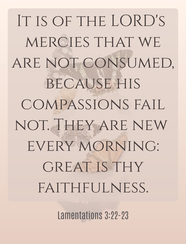 It is of the LORD's mercies that we are not consumed, because his compassions fail not. They are new every morning: great is thy faithfulness. - Lamentations 3:22-23