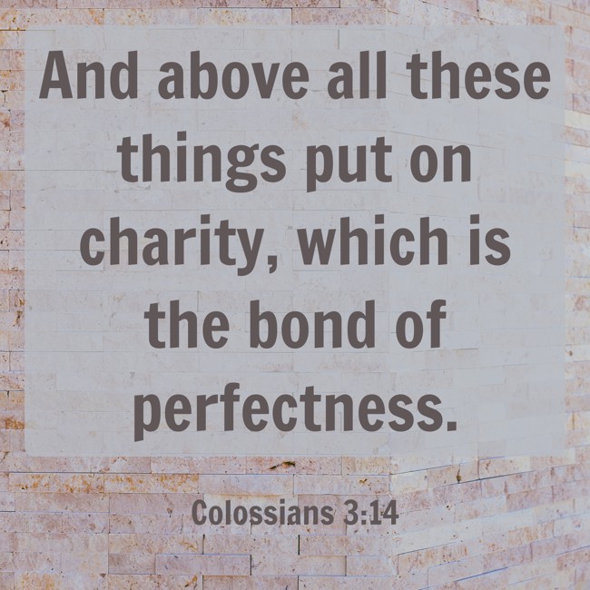 And above all these things put on charity, which is the bond of perfectness. - Colossians 3:14