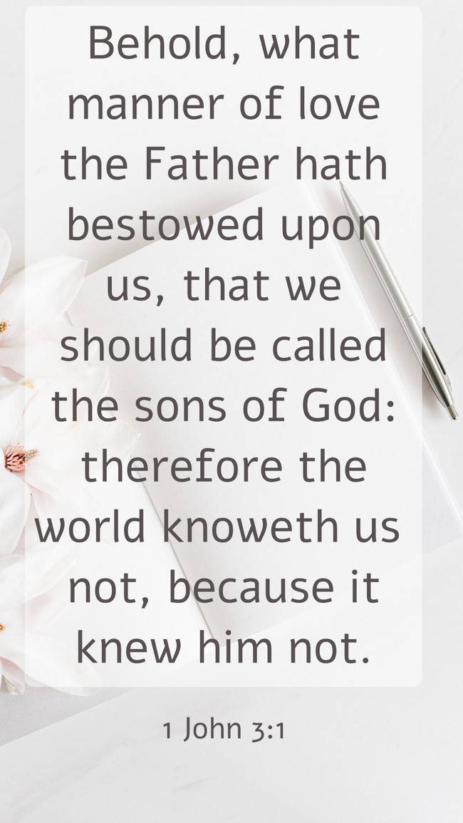 Behold, what manner of love the Father hath bestowed upon us, that we should be called the sons of God: therefore the world knoweth us not, because it knew him not. - 1 John 3:1