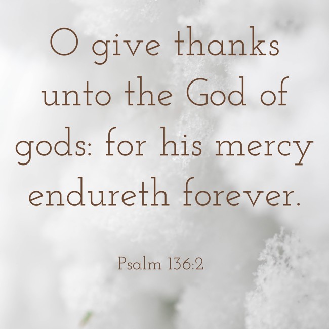 O give thanks unto the God of gods: for his mercy endureth forever. - Psalm 136:2
