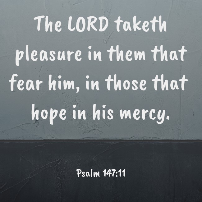 The LORD taketh pleasure in them that fear him, in those that hope in his mercy. - Psalm 147:11