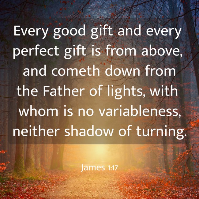 Every good gift and every perfect gift is from above, and cometh down from the Father of lights, with whom is no variableness, neither shadow of turning. - James 1:17