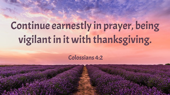 Continue earnestly in prayer, being vigilant in it with thanksgiving. - Colossians 4:2