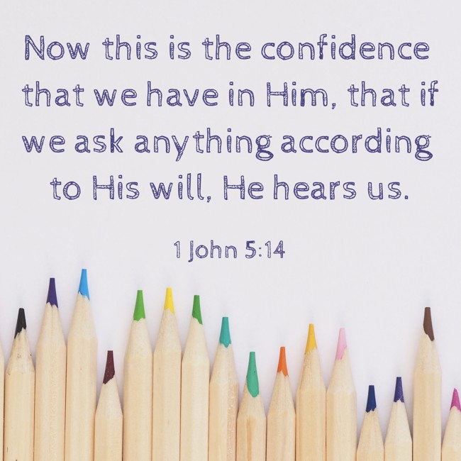 Now this is the confidence that we have in Him, that if we ask anything according to His will, He hears us. - 1 John 5:14