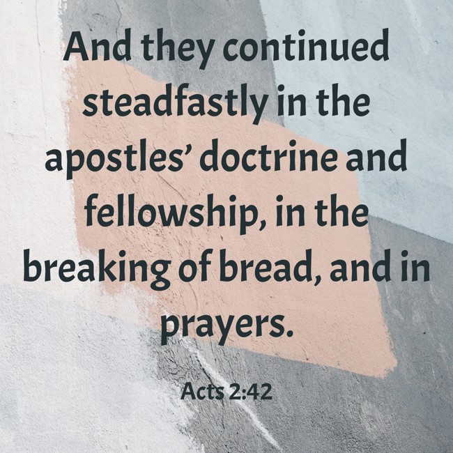 And they continued steadfastly in the apostles’ doctrine and fellowship, in the breaking of bread, and in prayers. - Acts 2:42