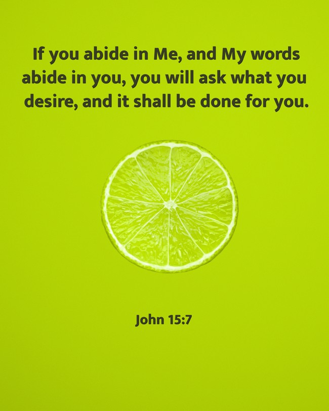 If you abide in Me, and My words abide in you, you will ask what you desire, and it shall be done for you. - John 15:7