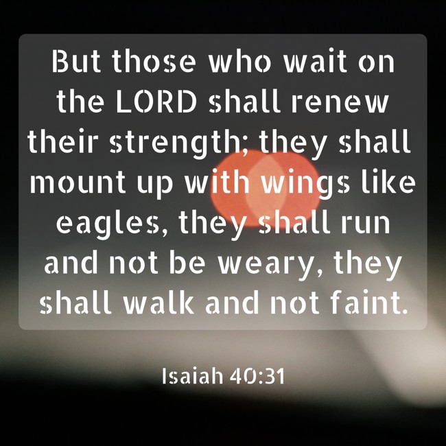 But those who wait on the LORD shall renew their strength; they shall mount up with wings like eagles, they shall run and not be weary, they shall walk and not faint. - Isaiah 40:31