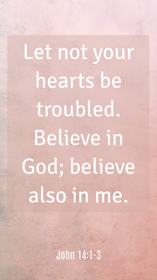 Let not your hearts be troubled. Believe in God; believe also in me. - John 14:1-3