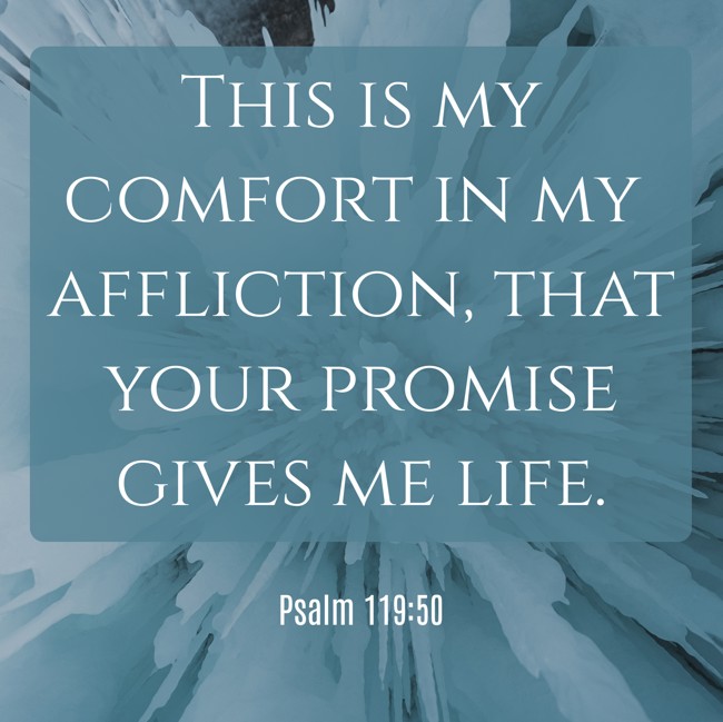 This is my comfort in my affliction, that your promise gives me life. - Psalm 119:50